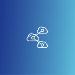 Multicloud networking – łączenie i optymalizacja ruchu między kilkoma dostawcami chmury